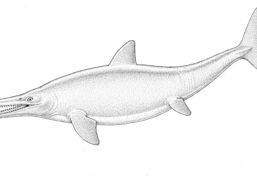Polacy odkryli wodne monstrum. Rybojaszczur żył nad Wisłą