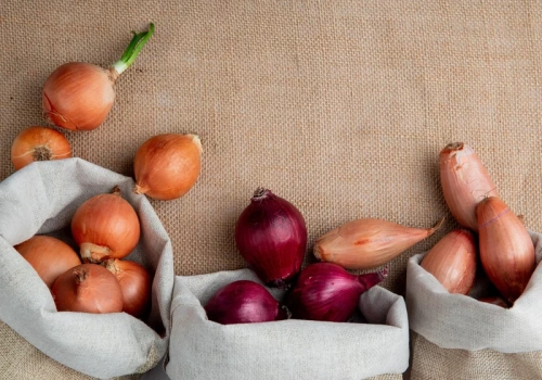 Posadź właściwą dymkę w marcu. Jedna daje cebule, druga ekspresowy szczypior