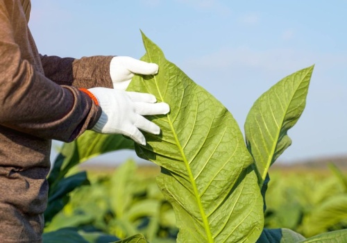 Umowa z Mercosur i 8 mld poza budżetem. Kto broni polskich rolników?