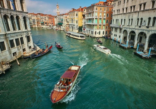 Groźny gatunek krąży wokół Wenecji. Włosi szukają metody na inwazję żebropławów