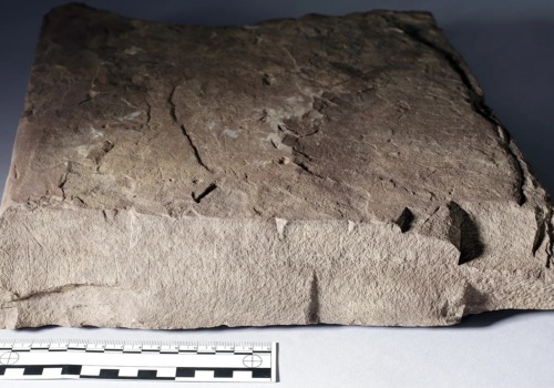 Kamień runiczny ze Skandynawii przepisuje początki pisma. Badania ujawniły treść dawnych zapisków