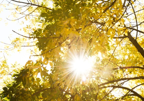 Słoneczny czwartek w Łódzkiem