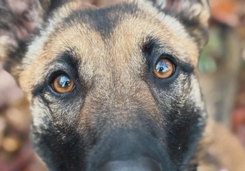 1,5% podatku może zostać w Chojnicach. Apel wiceburmistrza Adama Kopczyńskiego