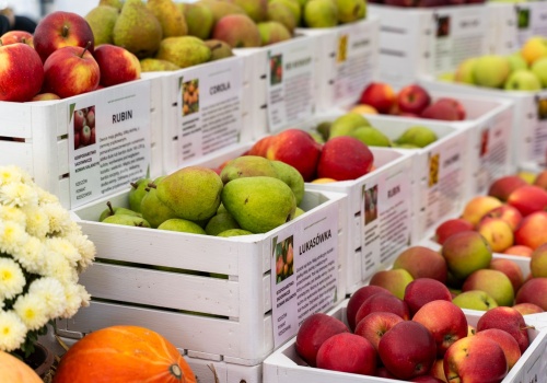 Smaki regionu wracają do Rzeszowa. W sobotę Podkarpacki Bazarek w Parku Papieskim