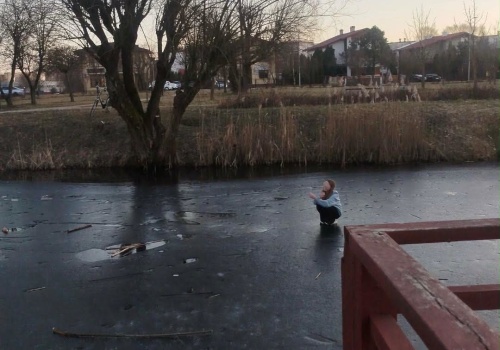 Dziewczynka utknęła na zamarzniętym oczku wodnym. Akcja ratunkowa w Bełchatowie