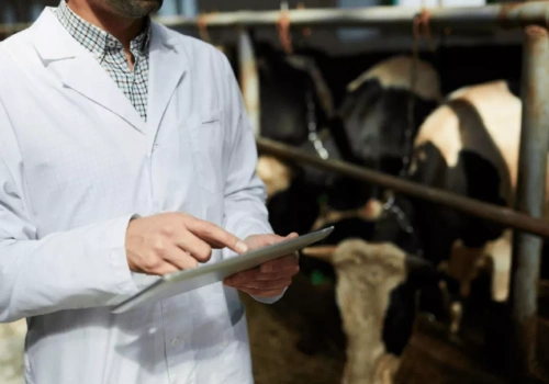 Rolnikom brakuje wsparcia. Sytuacja lekarzy weterynarii coraz trudniejsza!