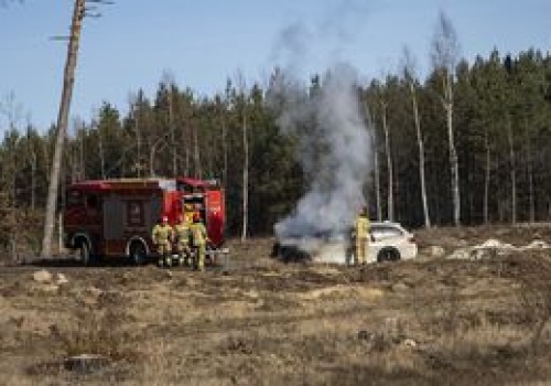 Piła: Zapalił się w trakcie jazdy. Groźny pożar auta przy lesie
