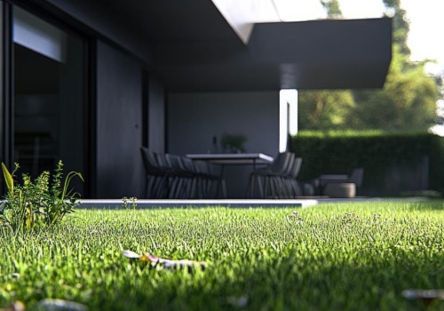 Zrób oprysk na mech z dwóch składników, których użwasz na codzień. Efekty już po jednym dniu