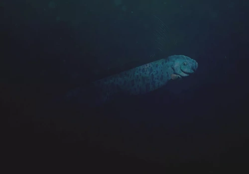 Dokonały na plaży niepokojącego odkrycia. „Dwie ryby zagłady”