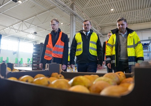 Polskie jabłka podbiją Brazylię? Minister zapowiada walkę o nowe rynki