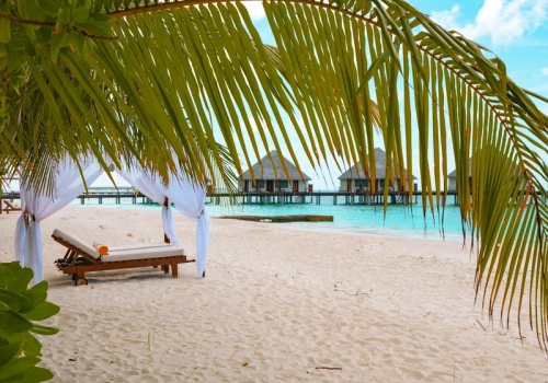 Wojna zamieniła ich podróż poślubną w koszmar. „Mój mąż zachorował, odesłano go do szamana”