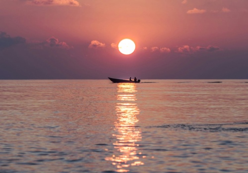 Cytat Milan Kundera - wrażliwość na piękno