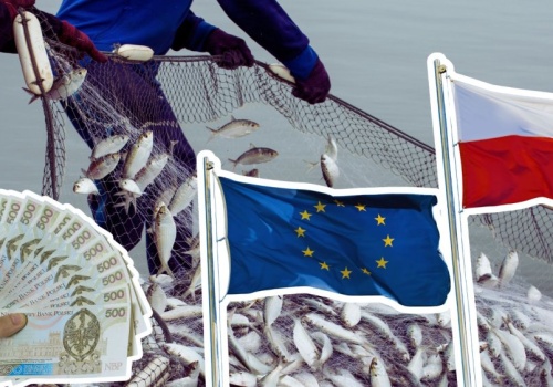 Polska potęgą rybną w Europie. Polacy ich nie jedzą, ale eksport szaleje