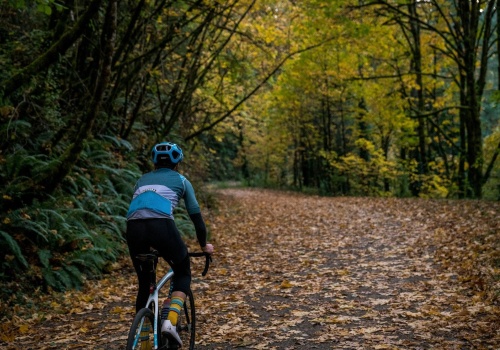 Drzewa rozwiążą problem emisji Co2 w miastach? Niemcy znaleźli rozwiązanie