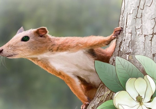 Znaleźli małego ssaka. Wygląda jak wiewiórka, ale to przodek małp