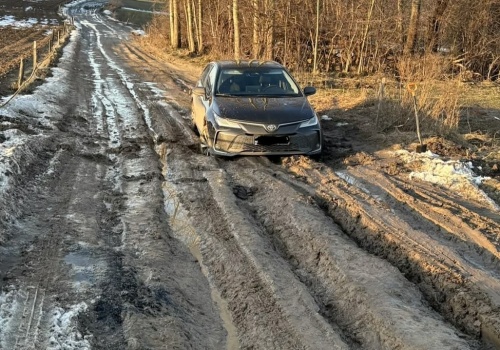 „Jesteśmy odcięci od świata”. Dramatyczny apel mieszkańców Redykajn w sprawie ulicy Poziomkowej