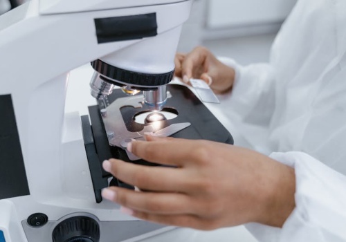 UW i MSD Polska rozmawiają o współpracy w badaniach klinicznych, AI i biomarkerach