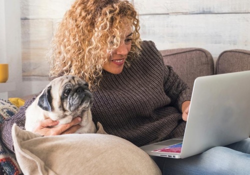 Nawet 4000 zł za iKonto Biznes. Tyle można zyskać w promocji Alior Banku