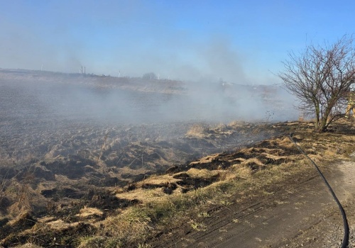 Wypalanie traw to śmierć i zniszczenie. I wysokie kary