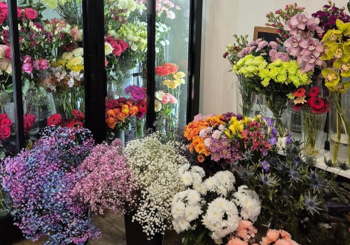 Więcej niż kwiaty. Odkryj świat pełen pasji w Kwiaciarence