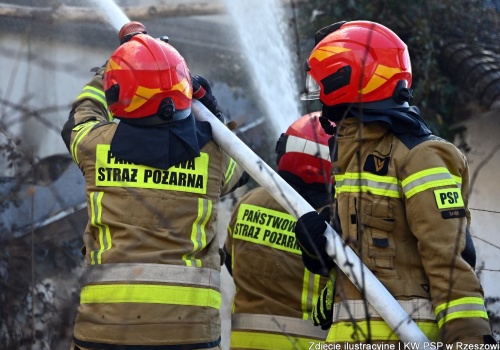 Podkarpacie w ogniu bezmyślności. Tragiczny bilans wiosennych pożarów traw