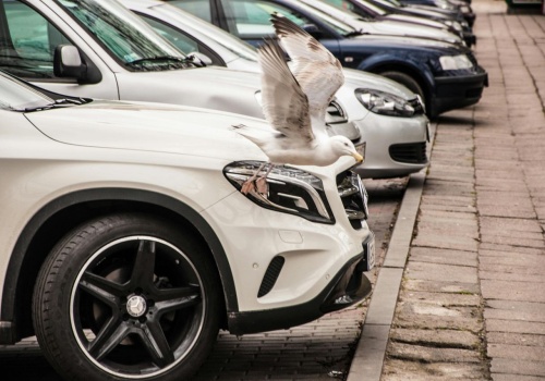 Dzieje się w Szczecinie. Miasto może być zmuszone oddać miliony złotych kierowcom