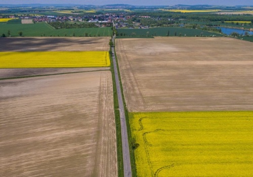 KOWR: czynsze dzierżawy bez zmian