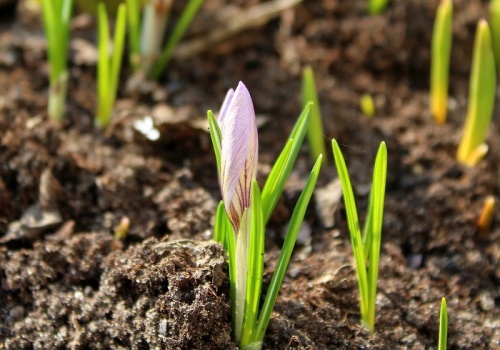 Fala ciepła nadciąga do Polski. Dwucyfrowe temperatury w całym kraju