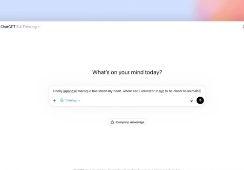 Nowy ChatGPT już jest. Co się zmieniło w wersji 5.4?