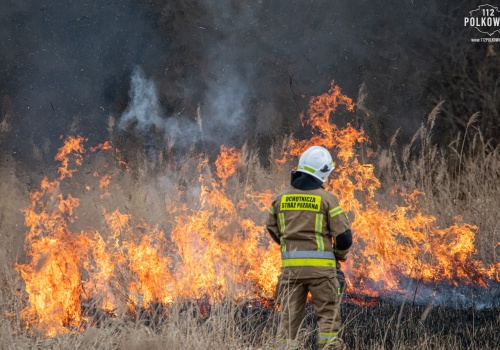 Podkarpaccy strażacy walczą z pożarami traw