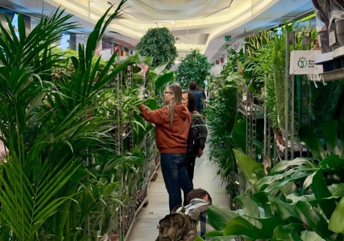 Galeria Rzeszów zamieni się w dżunglę. Wiosenne Targi Roślin i kwiat dla każdej Pani