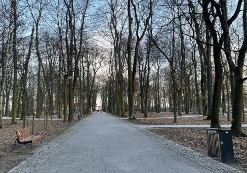 Urzędnicy wypowiedzieli wojnę gawronom