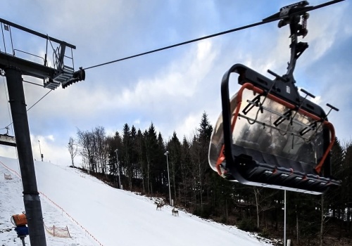 Ostatni zjazd tej zimy w Szczyrku. Sezon na Beskid Sport Arena kończy się w Dzień Kobiet