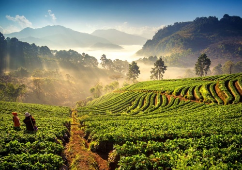 Tajlandia mniej znana 🇹🇭 Loty Air Chiną do Chiang Mai z Warszawy od 2603 PLN 🔥