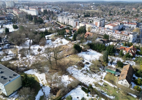 Olsztyn. Ratusz kontra mieszkańcy Niedźwiedzia. Troska o 150-letnie drzewa czy dewelopera?