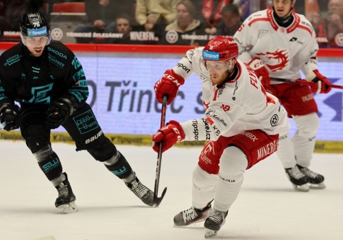 Porażka “Stalowników”. W play-off czeka HC Ołomuniec | ZDJĘCIA