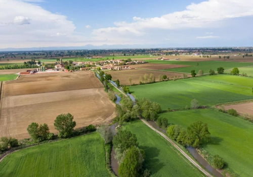 Mokradła w centrum sporu o przyszłość rolnictwa. Stracimy tysiące hektarów?
