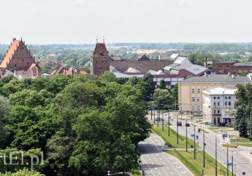 Czas na quiz. Kobieca strona Elbląga