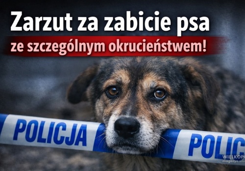 Zarzut za zabicie psa ze szczególnym okrucieństwem