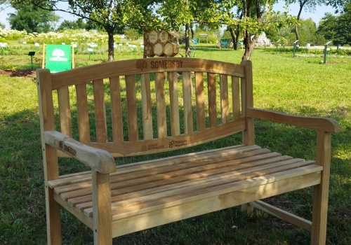 Każdy może ufundować ławeczkę do Ogrodu Botanicznego