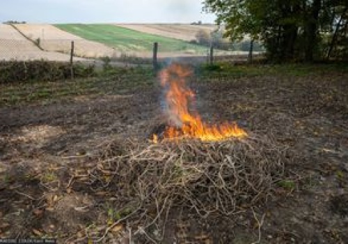 Palenie gałęzi na swojej działce. Oto co mówi prawo