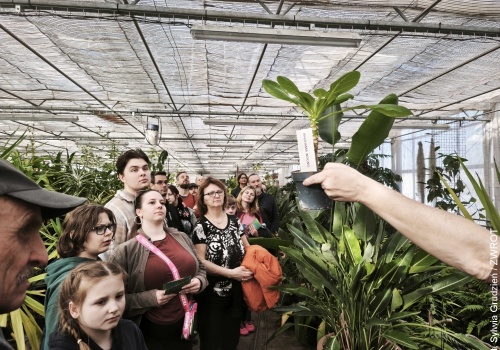 Za kulisami Zoo w Ostrawie. Wiosenne oprowadzania wśród bonsai