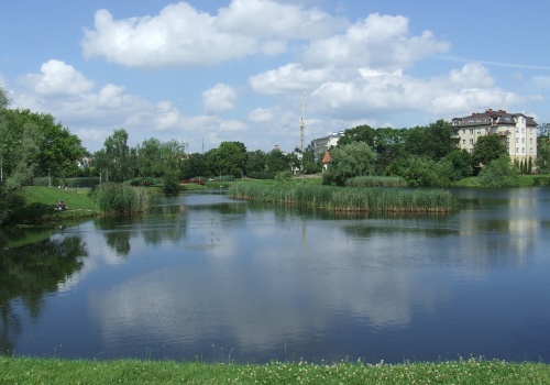 Staw Koziorożca we Włochach. Czy powstanie nowe kąpielisko i plaża?