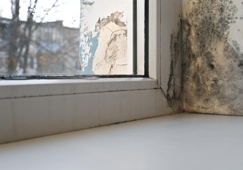 Najemcy skarżą się na pleśń w mieszkaniach socjalnych i wygrywają sprawy