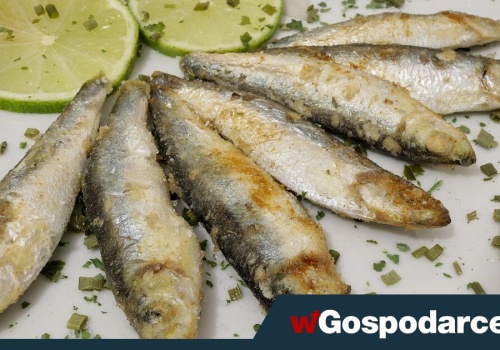 Tłuszcze w diecie to patent na odporność