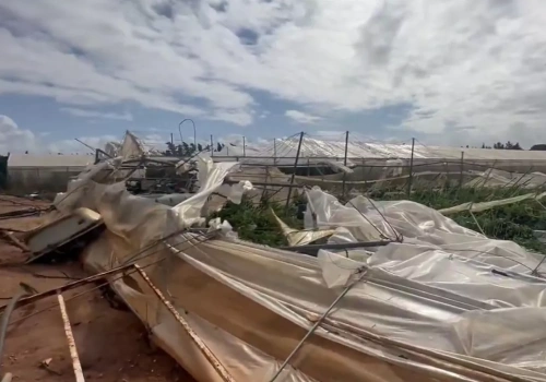 Ktoś traci, ktoś korzysta – Belgowie i Holendrzy wypełnią jagodową lukę na rynku po katastrofach pogodowych w Hiszpanii?