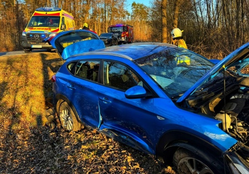 Wjechał w drzewo. Ma uszkodzony kręgosłup (ZDJĘCIA)