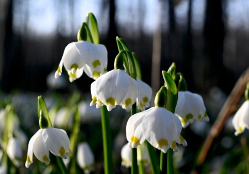Polska pod wpływem potężnego antycyklonu. Synoptycy mówią o dużym zwrocie w pogodzie