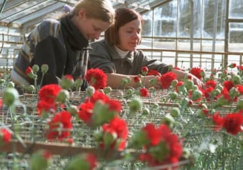 Na 8 marca: Równe płace zaczynają się od danych. Polska przed sprawdzianem przejrzystości wynagrodzeń