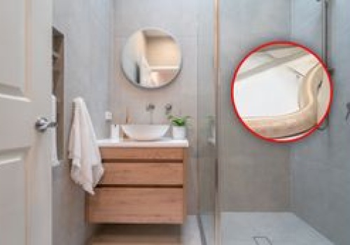 Metrowy wąż w łazience. Policja ustala, jak dostał się tam gad